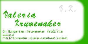 valeria krumenaker business card